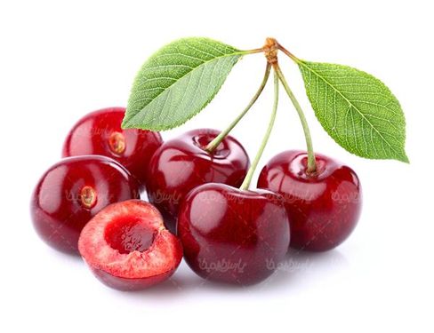 گیلاس