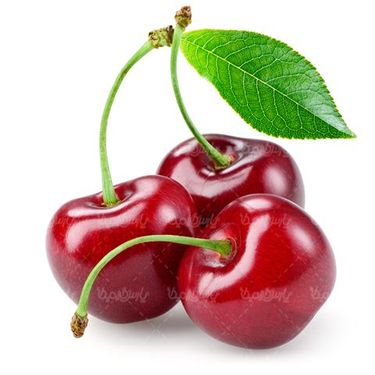 گیلاس