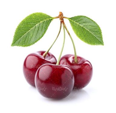 گیلاس