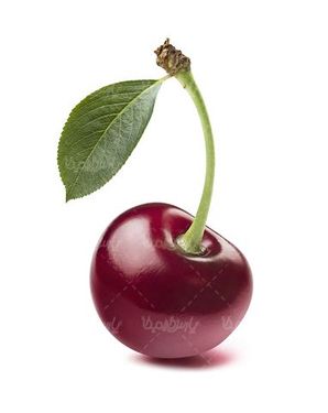 گیلاس