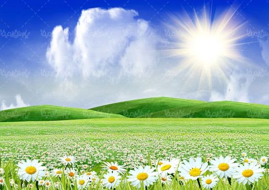 Spring