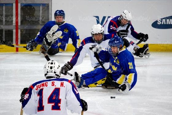 Disabled sports
