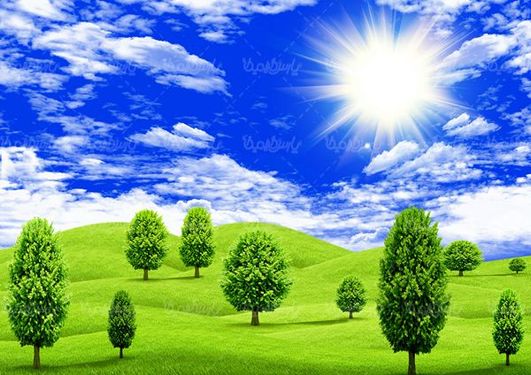 Spring
