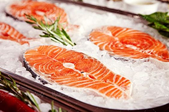 Salmon fish