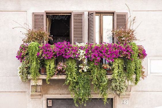 terrace