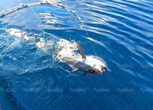 fishing