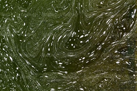 Wastewater
