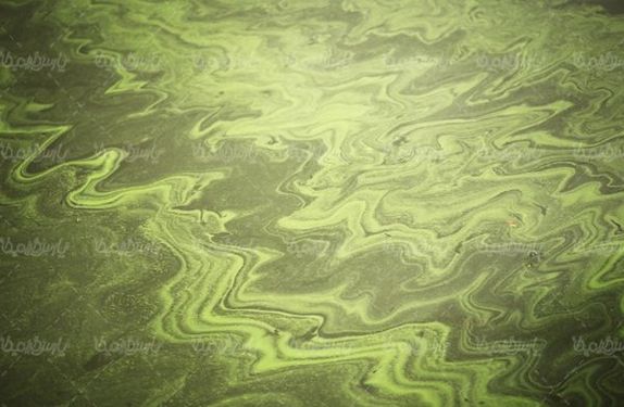 Wastewater
