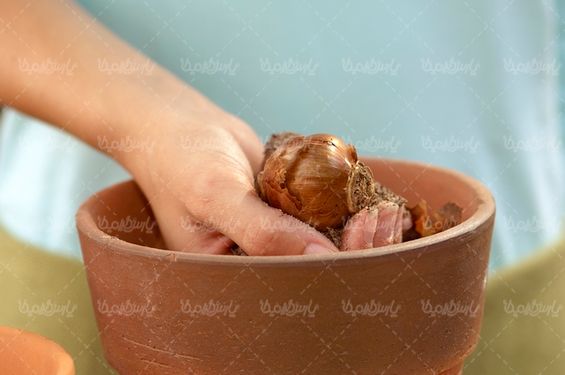 تجهیزات باغبانی