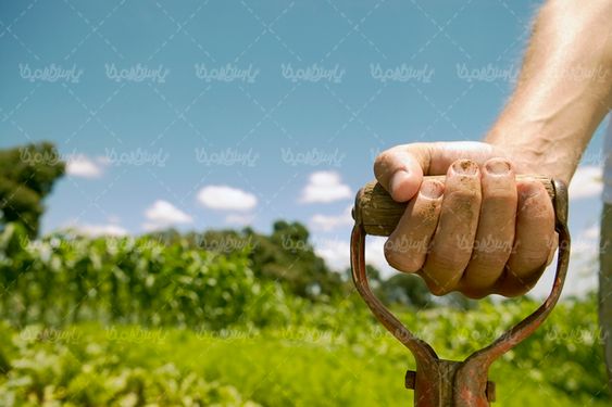 بیلچه باغبانی