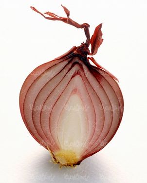 پیاز