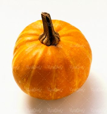 کدو