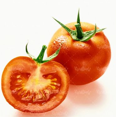 گوجه فرنگی