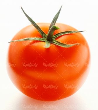 گوجه فرنگی