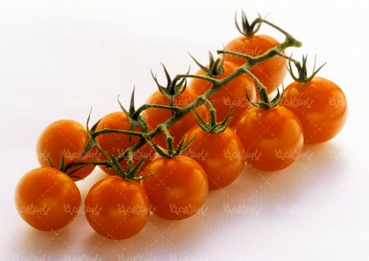 گوجه فرنگی
