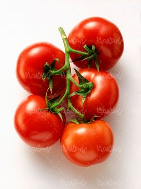 گوجه فرنگی