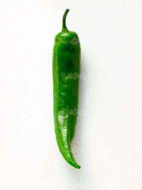 فلفل قلمی تند