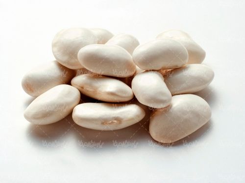 لوبیا سفید