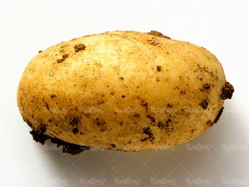 سیب زمینی