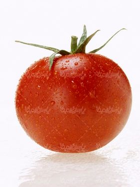 گوجه فرنگی