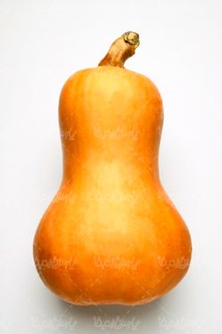 کدو