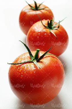 گوجه فرنگی