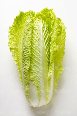 کاهو