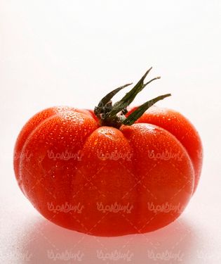 گوجه فرنگی