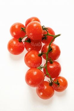 گوجه فرنگی