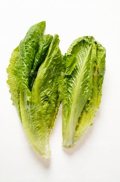 کاهو