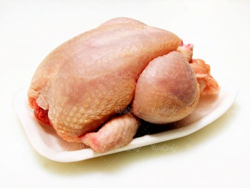 گوشت مرغ