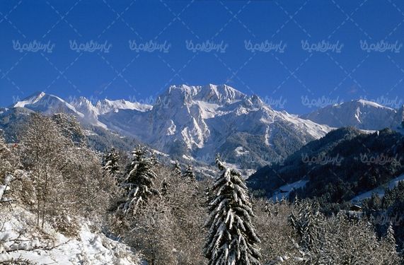 فصل زمستان
