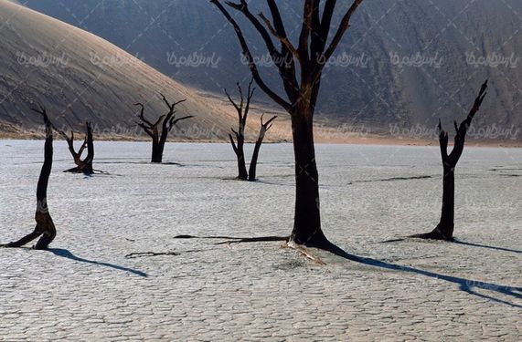 Drought