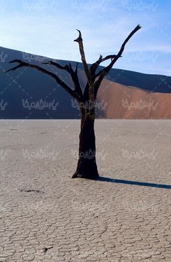 Drought