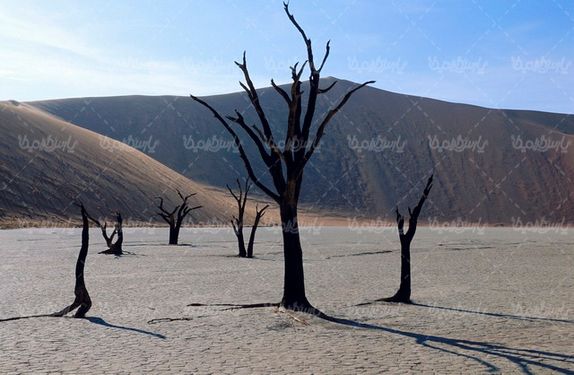 Drought