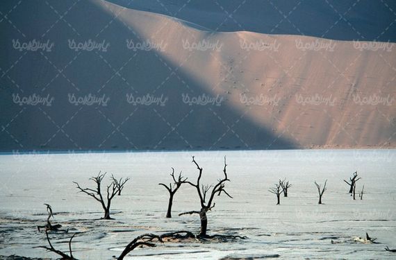 Drought