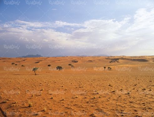 کویر