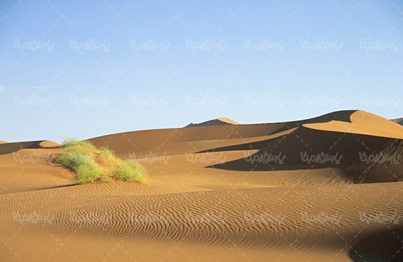 کویر