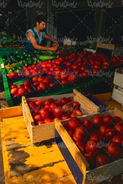 میوه فروشی