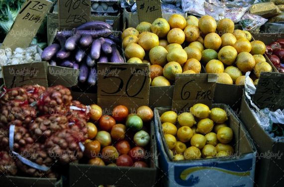 تصویر با کیفیت لیمو