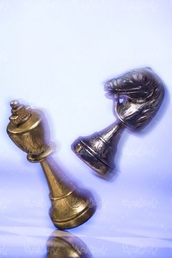مهره شطرنج