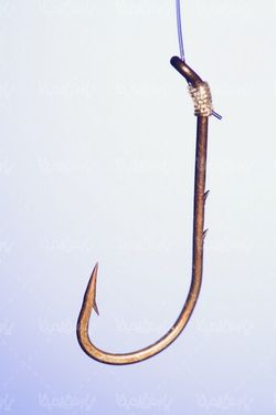 چنگک قلاب ماهیگیری