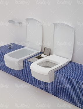 سرویس بهداشتی