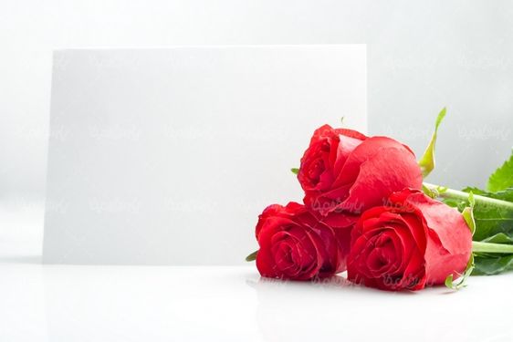 دسته گل رز