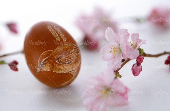 تخم مرغ عید نوروز
