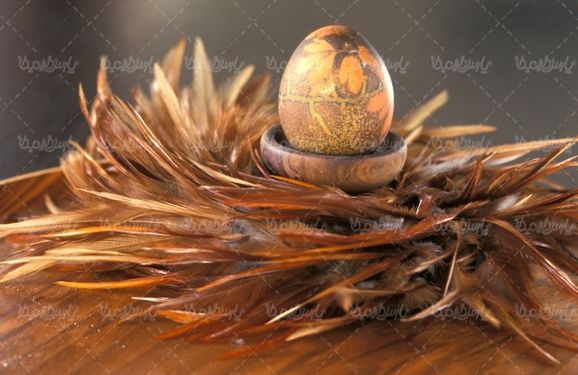 تخم مرغ عید نوروز