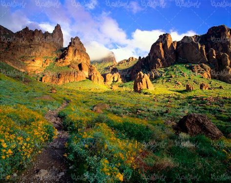 بیابان