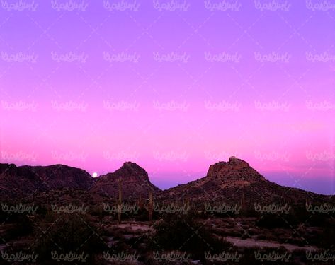 منظره