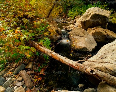 رودخانه