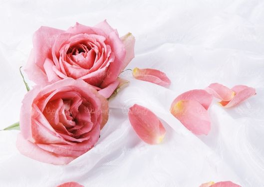 natural flower